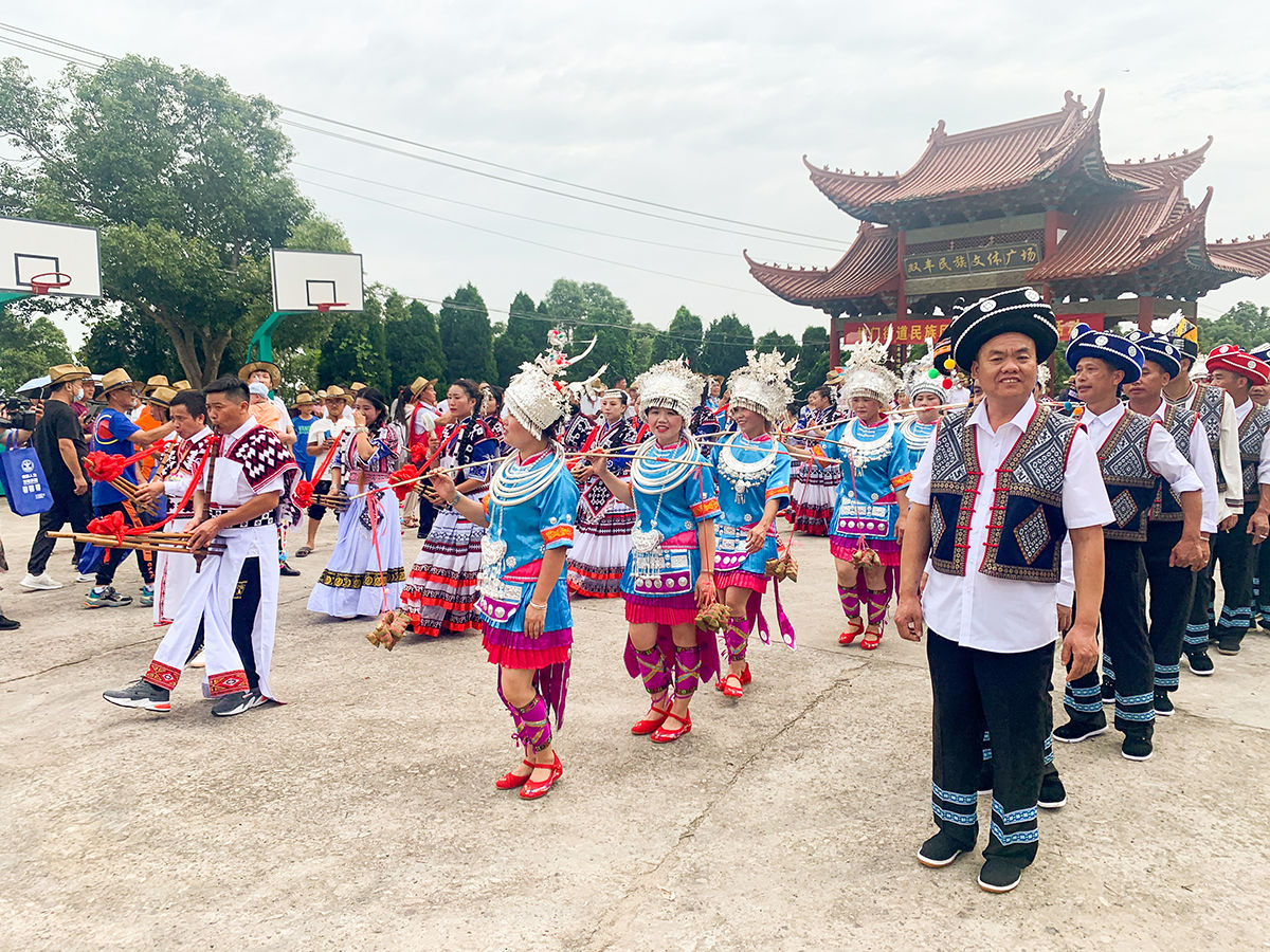竹竿舞|玉环：多族同聚庆端午 苗歌侗舞颂党恩