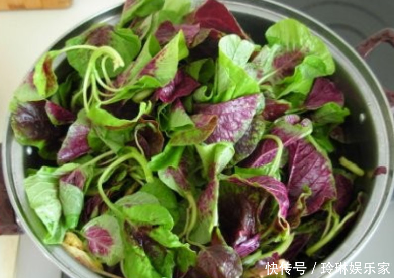 补血|这野菜比羊肉还补血,价值很高被人工种植,但市场还得12元1斤