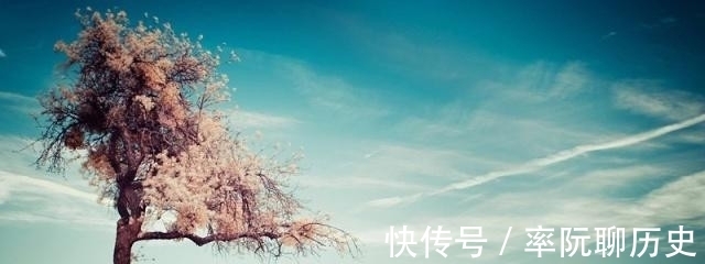 杨柳|不入流词人引来苏轼为其改字，写首凄美之作，最后12字千古名句