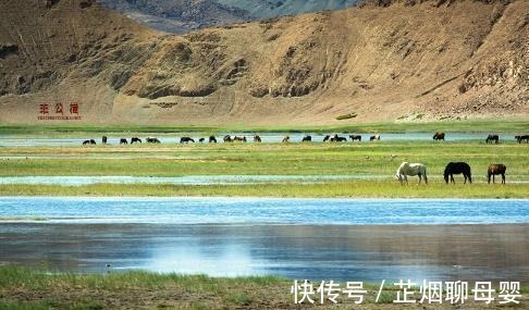 湖泊|“独宠”中国的班公湖，印度境内寸草不生，中国境内鱼跃鸟飞