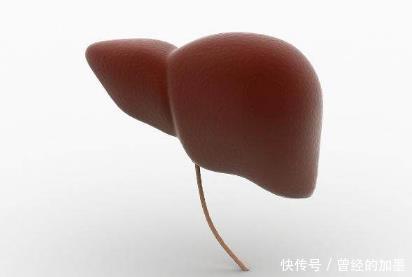 四肢|晚上睡觉时若出现4个“表现”,说明你的肝在慢慢变好,恭喜你