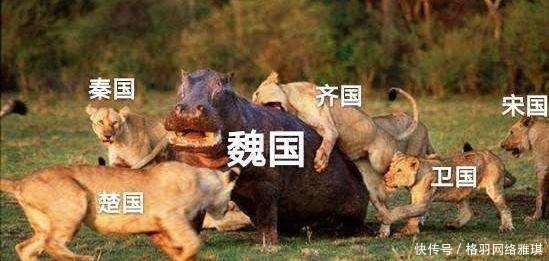 秦国|做着春秋大梦的战国霸主,轻率放弃灭秦机会,行天子仪制成为笑柄