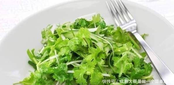 保存香菜不能直接放冰箱,老农教你一招,香菜不腐烂不变黄