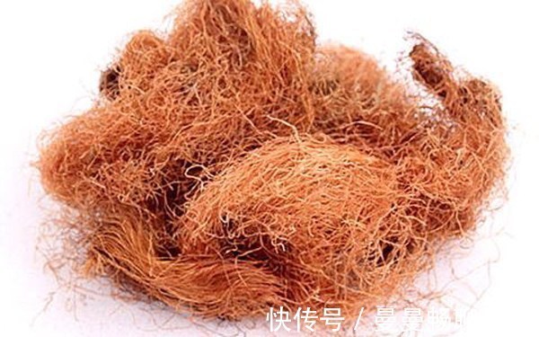 玉米|10种天然的“燃脂王”,每天吃一点,燃烧脂肪,甩掉大肚腩