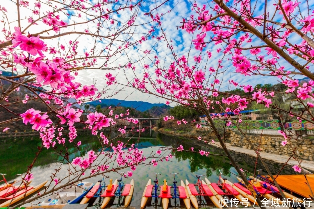 源头|人人都道赏樱去武大,殊不知真正的赏樱好去处是武汉黄陂的锦里沟景区