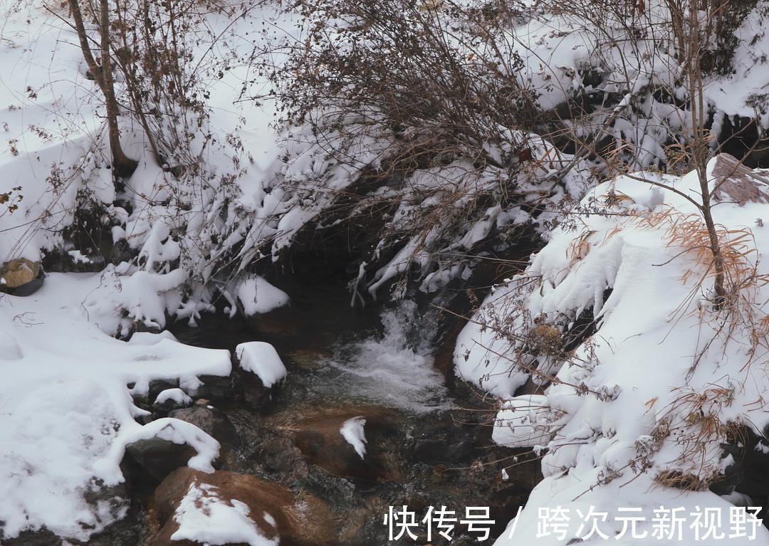 连环画|容朵儿民宿冬景：雪的可爱处在于它的广被大地，覆盖一切，没有差别