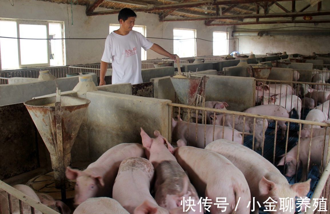 病毒性腹泻|猪流行性腹泻用什么药?猪流行腹泻的防治措施有哪些?本文告诉你