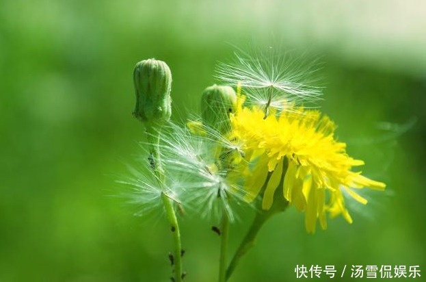 血糖高的人，少吃3种食物！控制好血糖，谨记喝