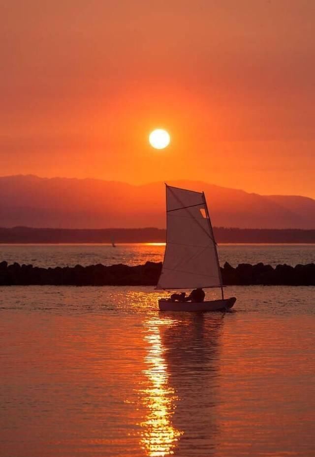 诗人|这首诗只有四句，却浓缩了沉甸甸的人生沧桑，读来让人回味无穷