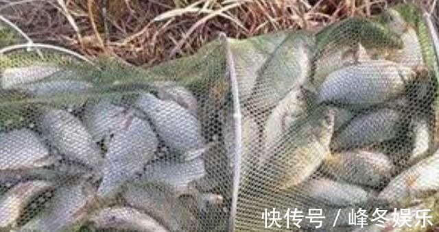 冬季|冬钓无口就收竿,难道你没用这3个策略?老钓手:一般人学不来