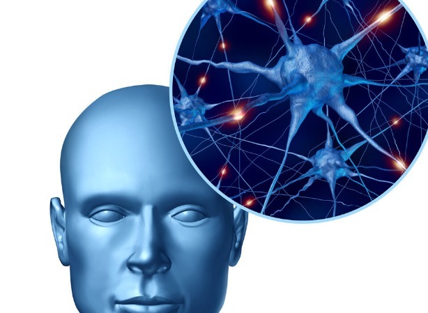 同型半胱氨酸|中老年人补充叶酸有2大益处,如何正确补充本文给出3个建议