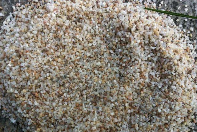 养多肉、蟹爪兰、君子兰，用它就能根固叶茂，远离烂根困扰