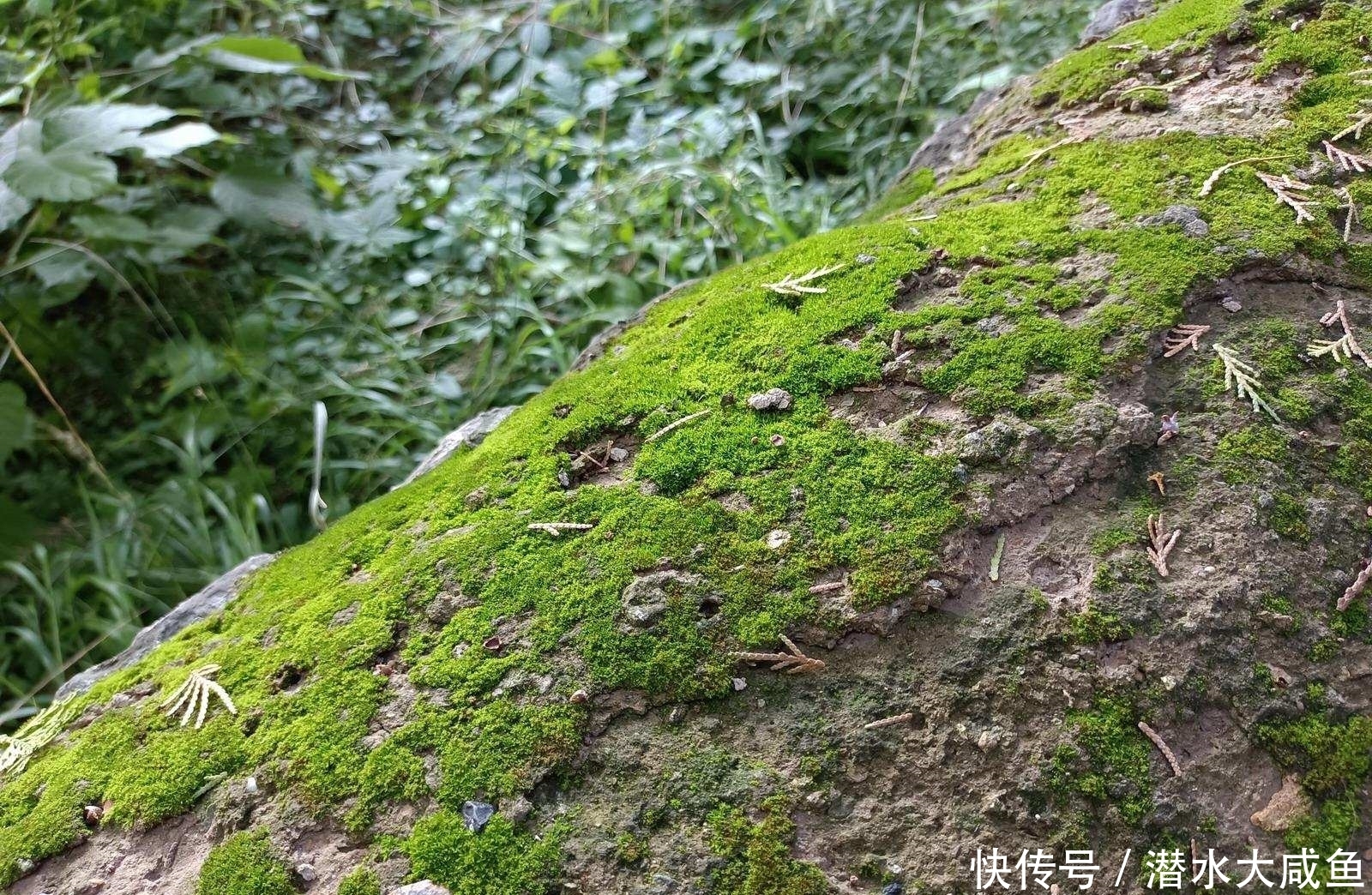 三山五园之颐和园万寿山前，沿着长廊至山色湖光共一楼