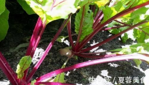 滋阴|人到中年想长寿,推荐吃3种食物,排出毒素,滋阴降火,延缓衰老