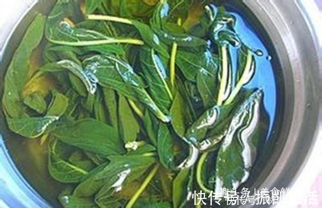 芝麻|很多人都只吃种子，实际叶子才是真宝贝，20一斤供不应求