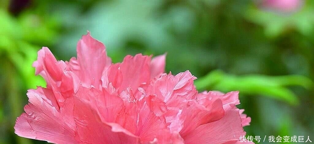 干谒|唐代的自荐信干谒诗:成绩很重要,但坚持努力更重要