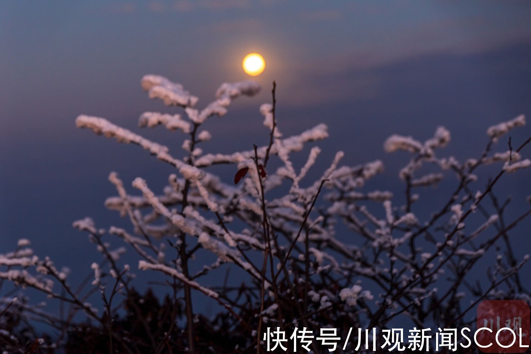 白雪|白雪+雾凇 绵阳千佛山变身“童话世界”