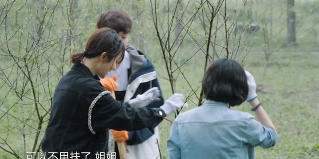 张子枫|杨紫离开《向往的生活》张子枫飙泪送别，上次是黄磊，这次是杨紫