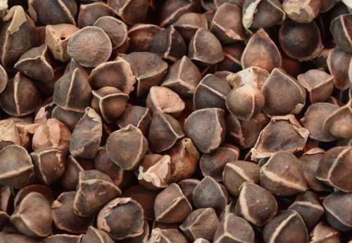 肠道的“润滑剂”,早晚吃一点,排宿便清肠道,体重“嗖嗖”降!