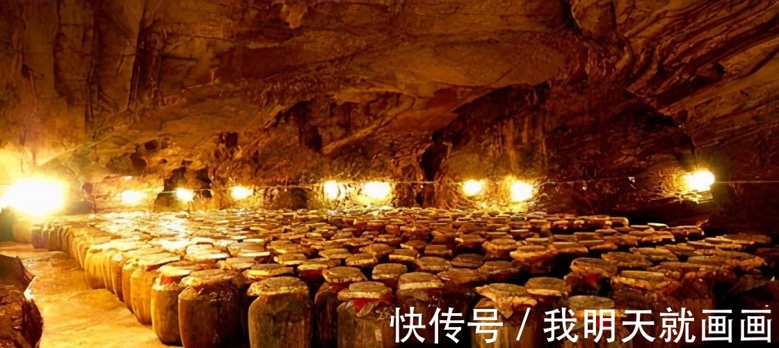 18条奇葩冷知识，课本上不一定找得到，但都是真实存在的