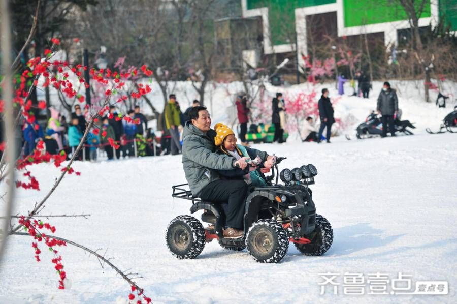 跑马岭|元旦小长假，跑马岭玩雪其乐无穷