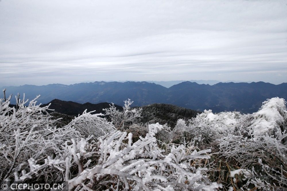 拍摄的雪景|冬雪如画