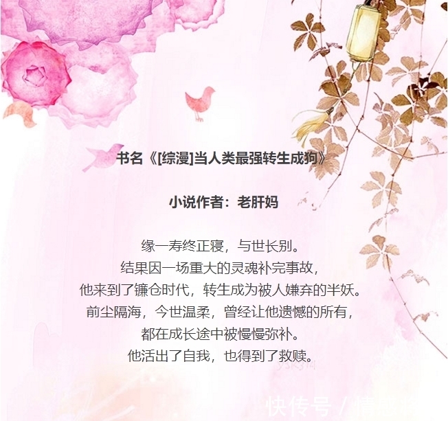 文笔!三本小说缓解书荒,质量文笔不错,成长与救赎,综漫,治愈甜文