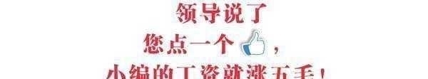 实拍: 父子两人看动画片 这表情神同步 网友: 复制粘贴的