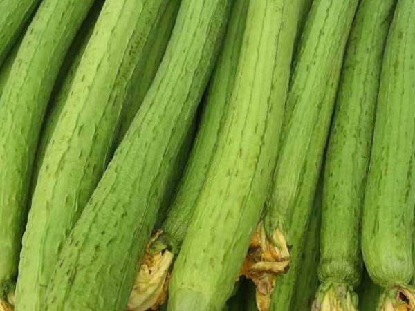 食物|腰酸背痛吃什么食物好四种常见食物可以缓解疼痛,还能补肾