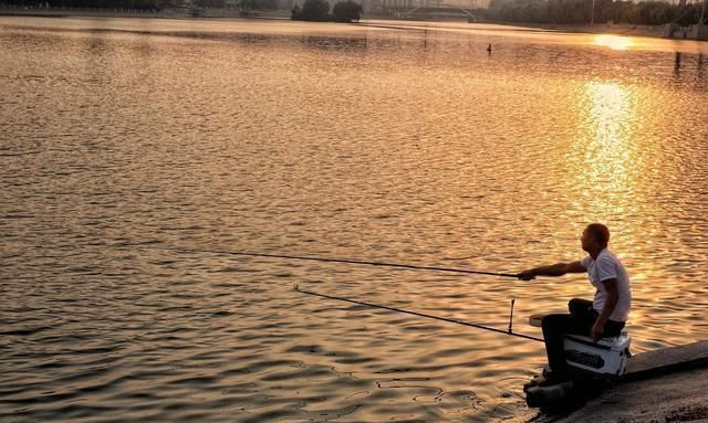 动在水的表|钓白条有技巧,并不是使用腥饵那么简单,想钓得好这几点尤为重要