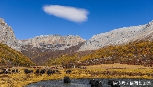 中国最美赏秋之地,雪山下的秋色美如仙境,去过的游客都直呼太美!
