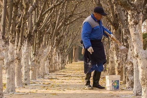 老人味|为啥人老了以后,身上就会有“异味”?如何去除老人味?了解下