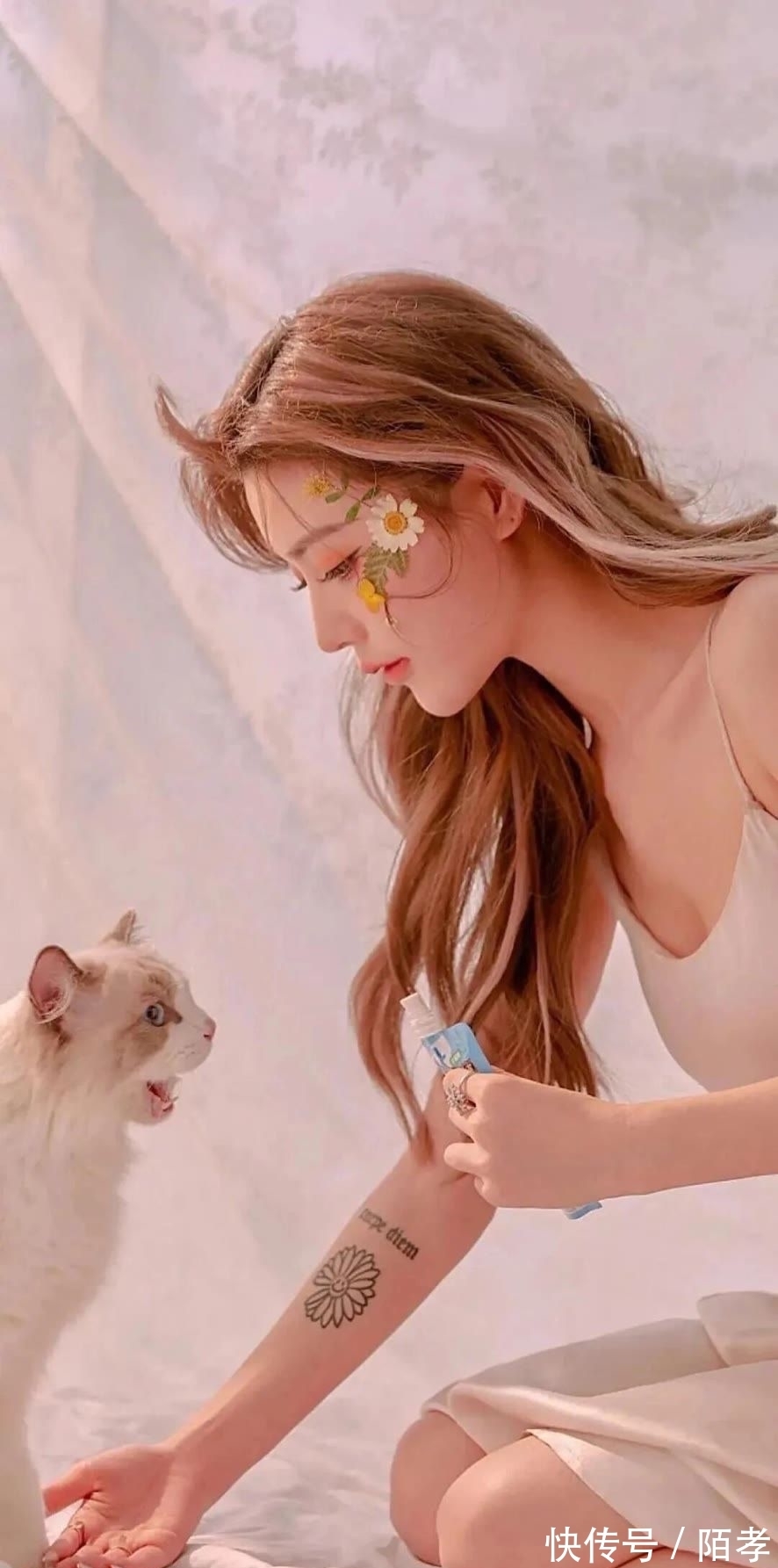 「壁纸」好在这一生兜兜转转,也曾被你温柔相待过