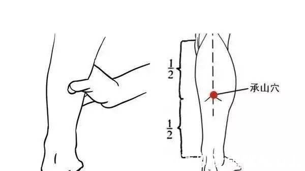 承山穴|人体“祛湿要穴”承山穴，除湿效果堪比薏米红豆粥