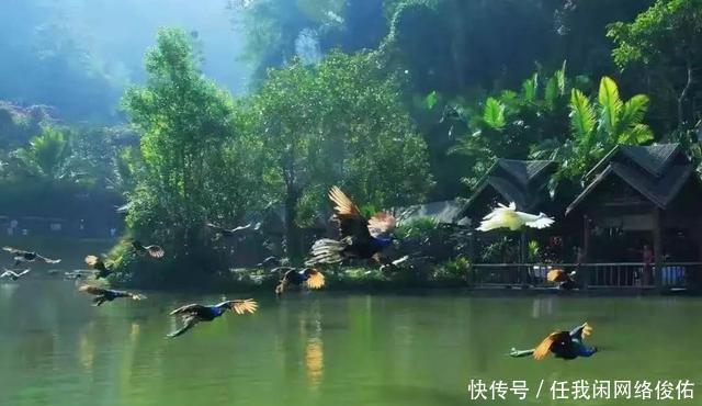 东莞|七绝《晨光沐浴》平水韵