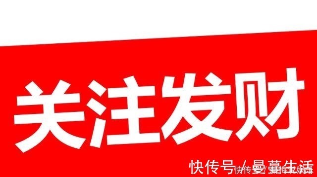 雪浪|愁也一天,乐也一天,何不开开心心过好每一天