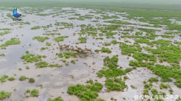 从高空俯瞰锦绣潇湘，极致之美让你成湖南铁粉