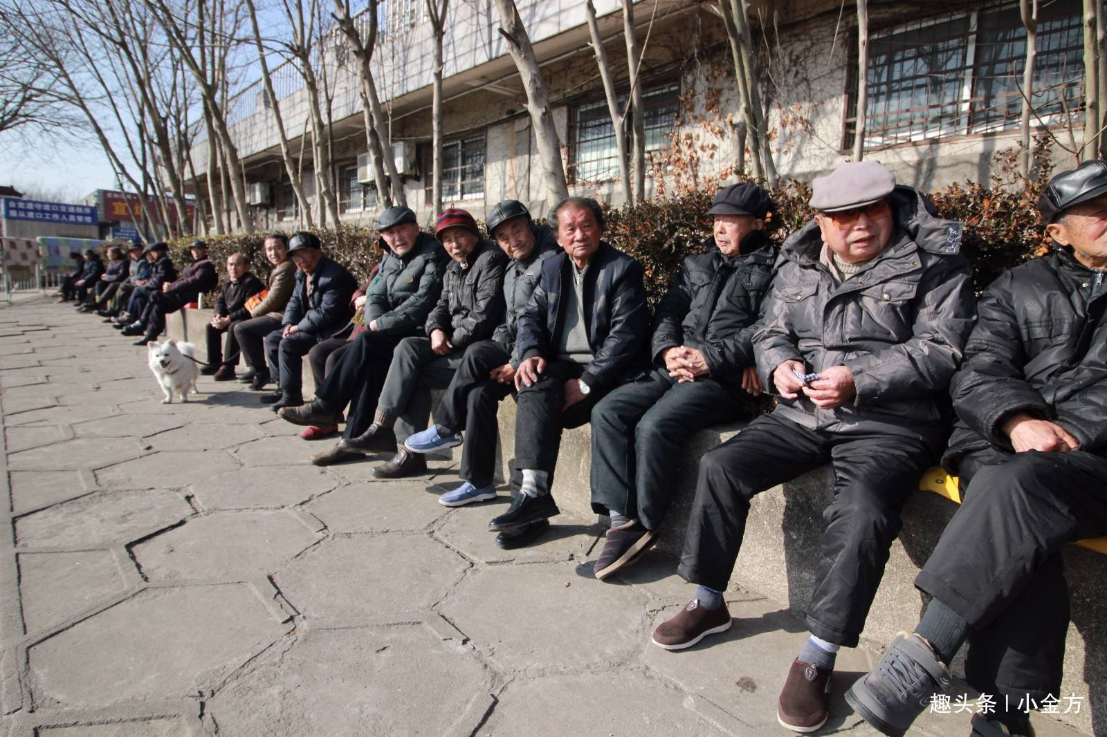 刮痧|4个不花钱的养生法,堪称长寿药!助眠、祛湿、养阳,统统搞定