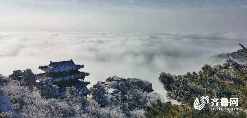 泰山之巅|雪霁初晴 泰山之巅云雾缭绕仙气十足