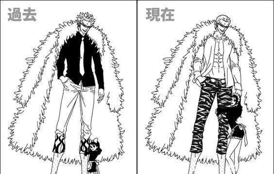 海贼王|海贼王人生赢家老蔡!