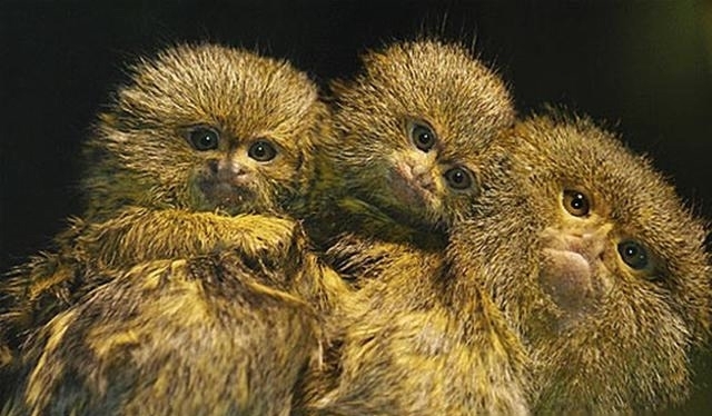 管娃神咒|一提就灵,外婆们世袭的“管娃神咒”,没想到有如此深的历史渊源