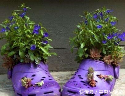 这些破烂不要扔,做成“小花盆”,个性又漂亮,比买的强“百倍”!