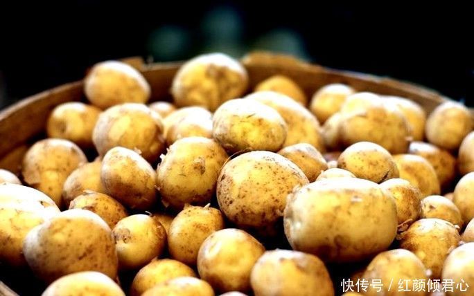 中年人可以吃3种食物,营养丰富、延缓衰老,早吃早健康