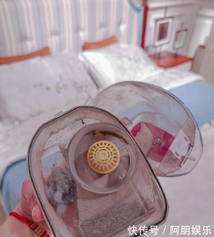 螨虫|5个看似高大上,实际却是鸡肋的家居用品,别再交智商税了