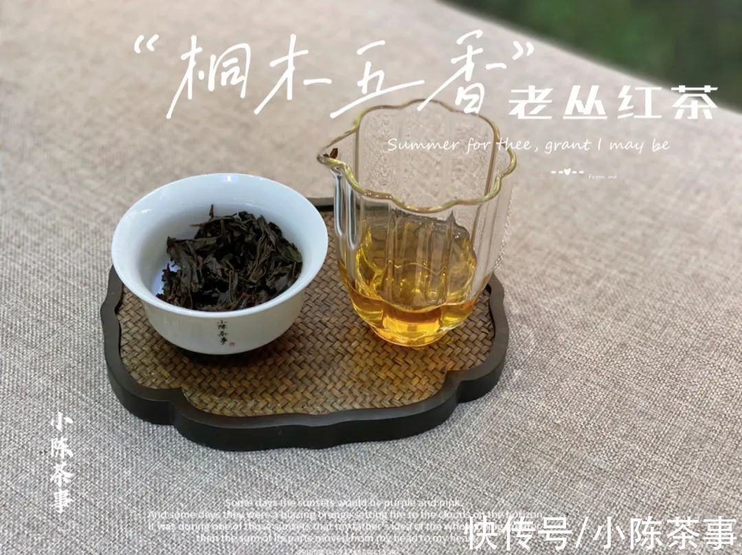 老白茶@白茶、岩茶、红茶怎么冲泡？一篇文章解锁正确冲泡方法，建议收藏