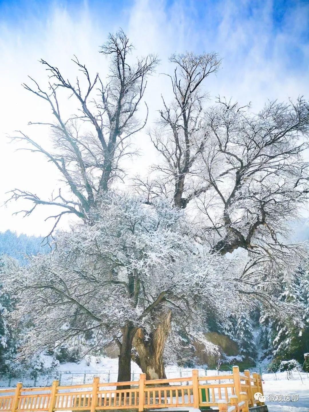 迭部迎来新春第一场雪|新春走基层 |迭部迎来新春第一场雪\＂,\＂i10\＂:\＂新春走基层