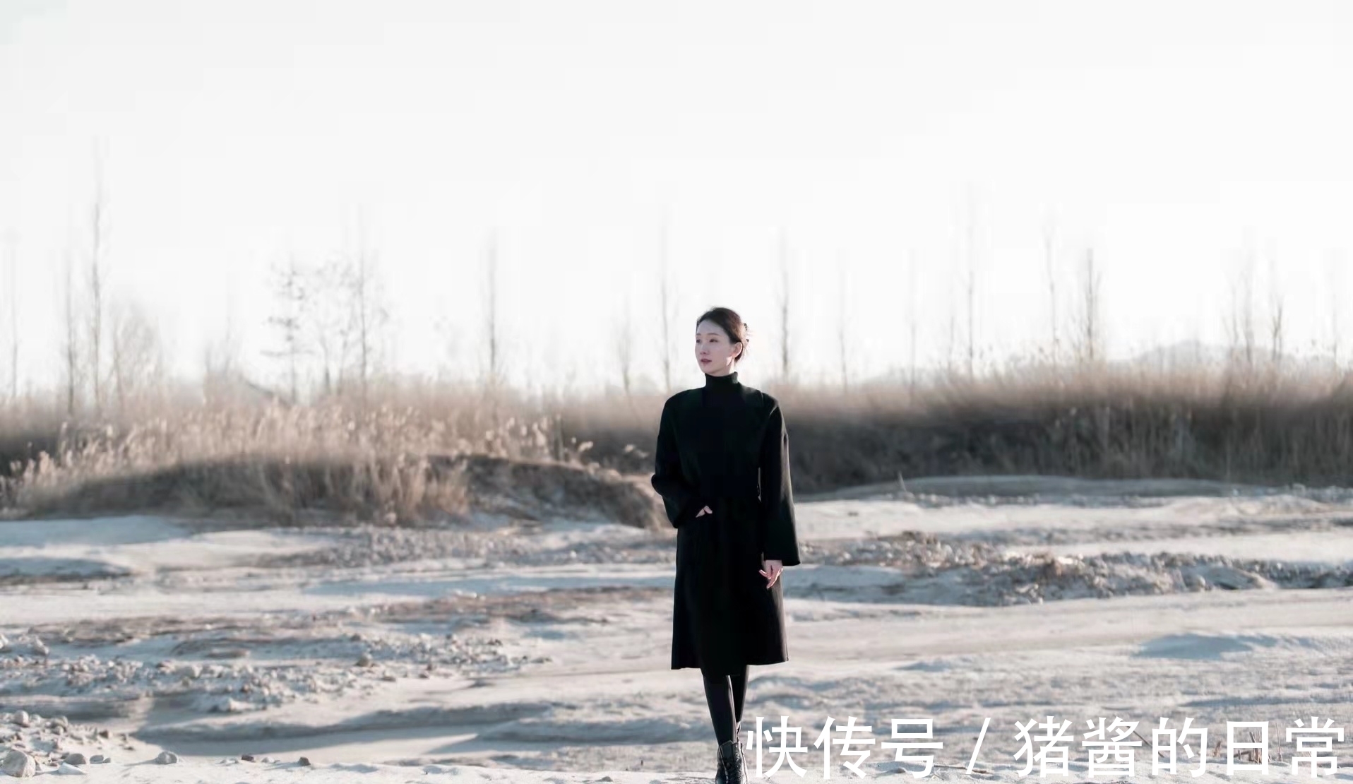 梅蕊&七律·冬日情怀:星坠雪深窗外响,月斜云厚竹枝翻