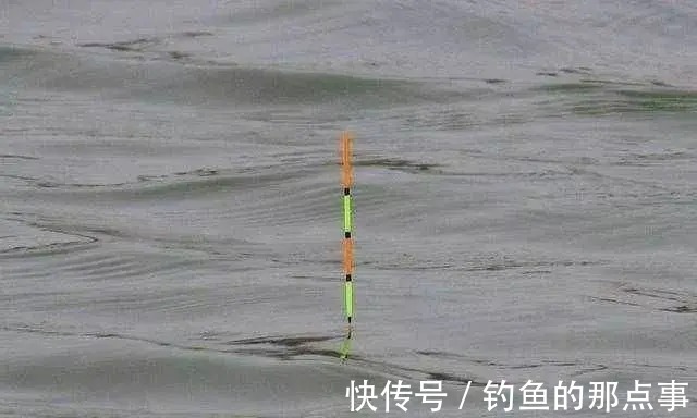 用红虫钓鱼怎么调漂?注意四个点