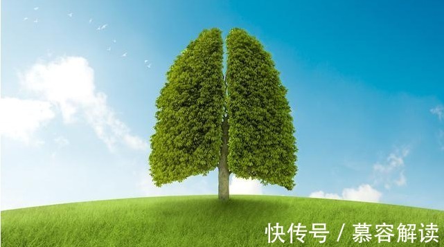 肾俞穴|五脏最喜欢这个动作，每天做一次，强健心肝脾肺肾，疾病减少