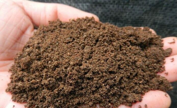 发酵鸡粪、羊粪、蚯蚓粪,到底该选哪一种?看完终于不再迷惑了